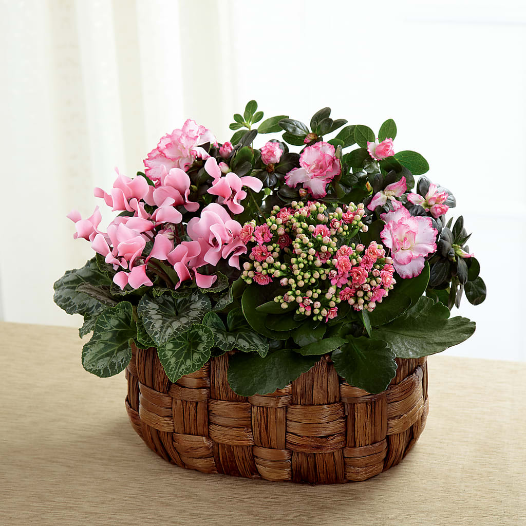 Pink Assortment – Elises Flowers, Montgomery Village MD