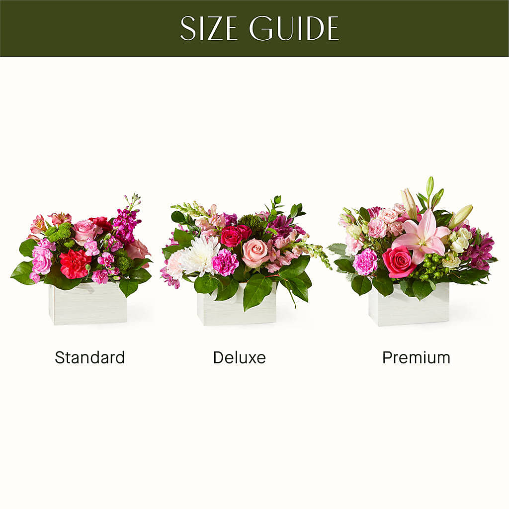 Sweetberry Box – A Florist Original – Elises Flowers, Montgomery Village MD