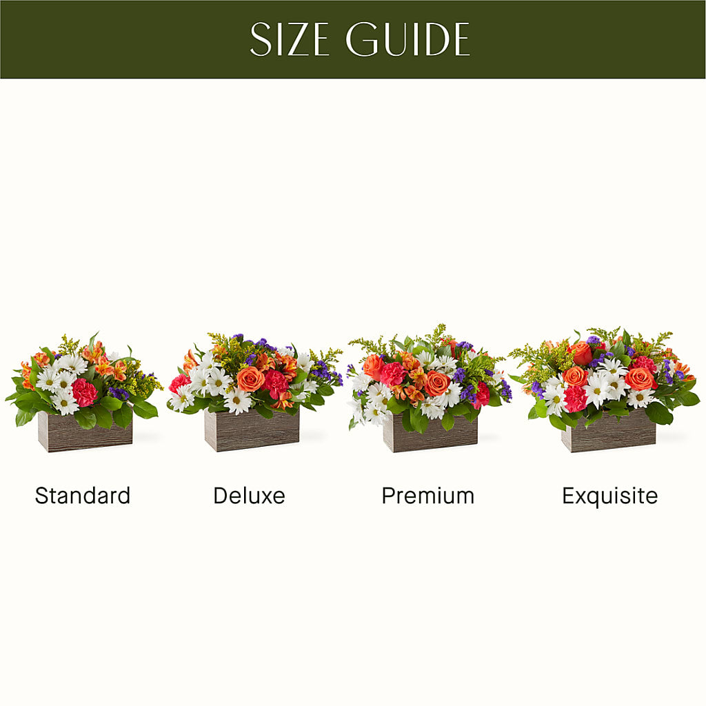 Oopsie Daisy Box Bouquet – Elises Flowers, Montgomery Village MD
