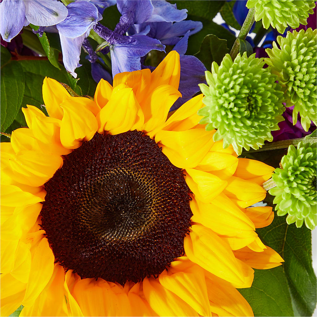 Catching Rays Bouquet – Elises Flowers, Montgomery Village MD