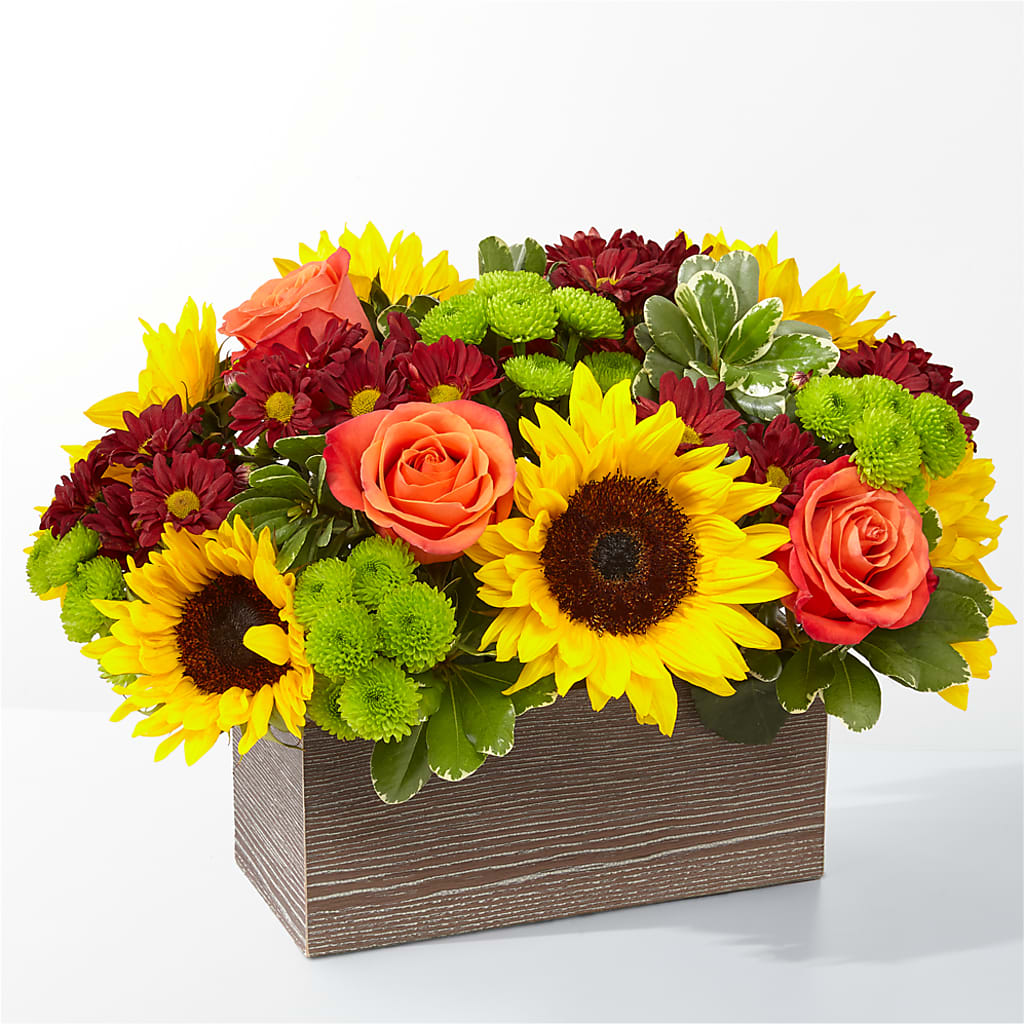 Happy Harvest Garden – Elises Flowers, Montgomery Village MD