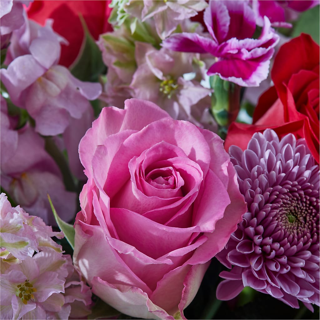 Better Together - A Luxury Florist Original – Elises Flowers, Montgomery Village MD