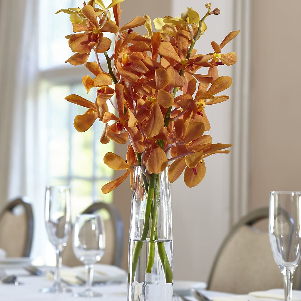 Orange Mokara Bud Vase – Elises Flowers, Montgomery Village MD