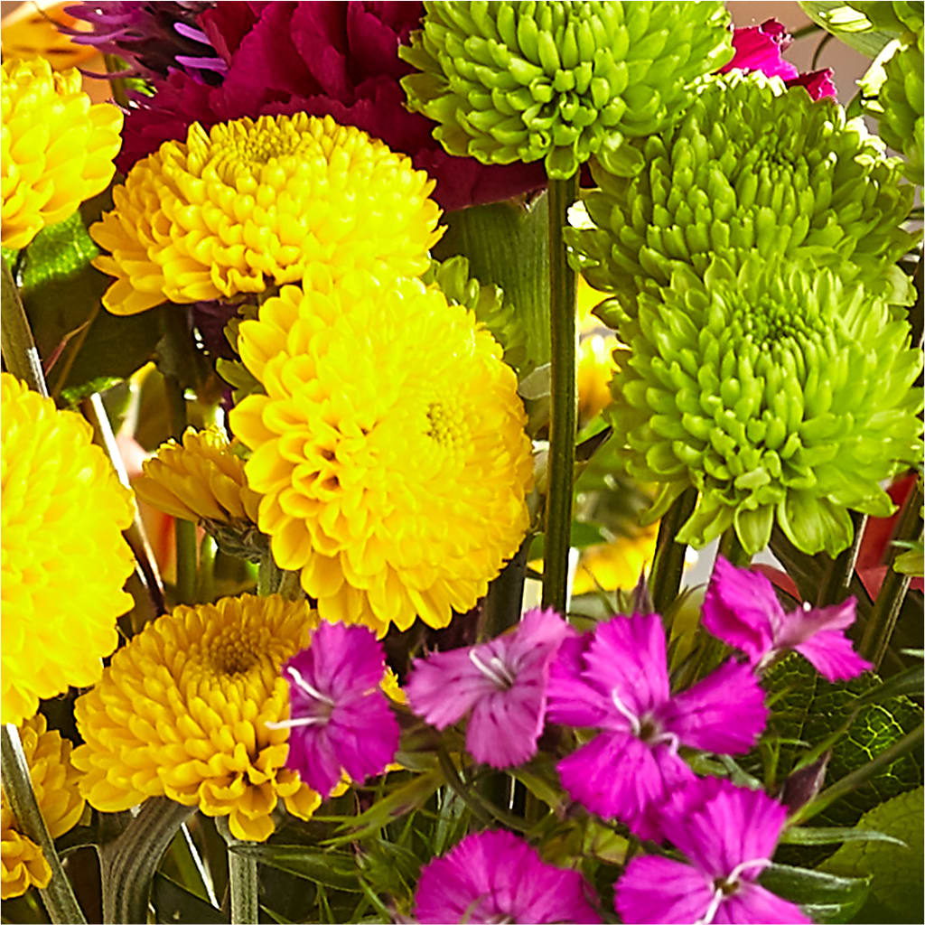 Bold & Bright – A Florist Original –  Elises Flowers, Montgomery Village MD