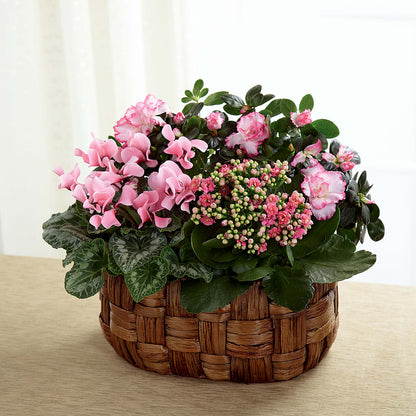 Pink Assortment –  Elises Flowers, Montgomery Village MD