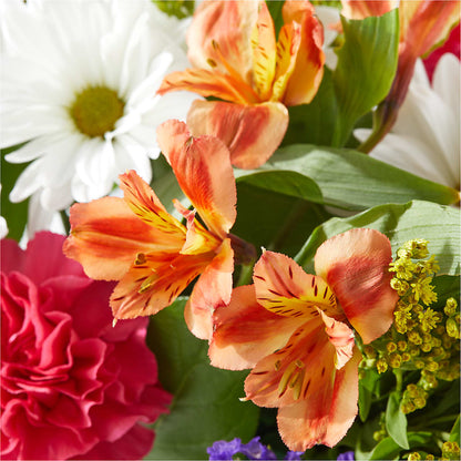 Oopsie Daisy Box Bouquet –  Elises Flowers, Montgomery Village MD