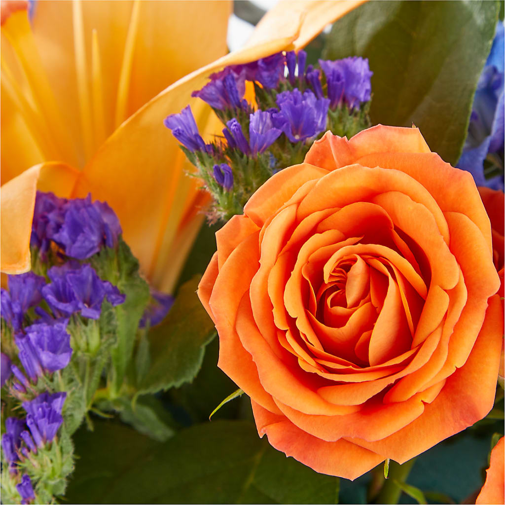 Radiant Citrus Box Bouquet –  Elises Flowers, Montgomery Village MD