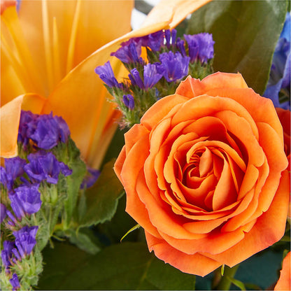 Radiant Citrus Box Bouquet –  Elises Flowers, Montgomery Village MD