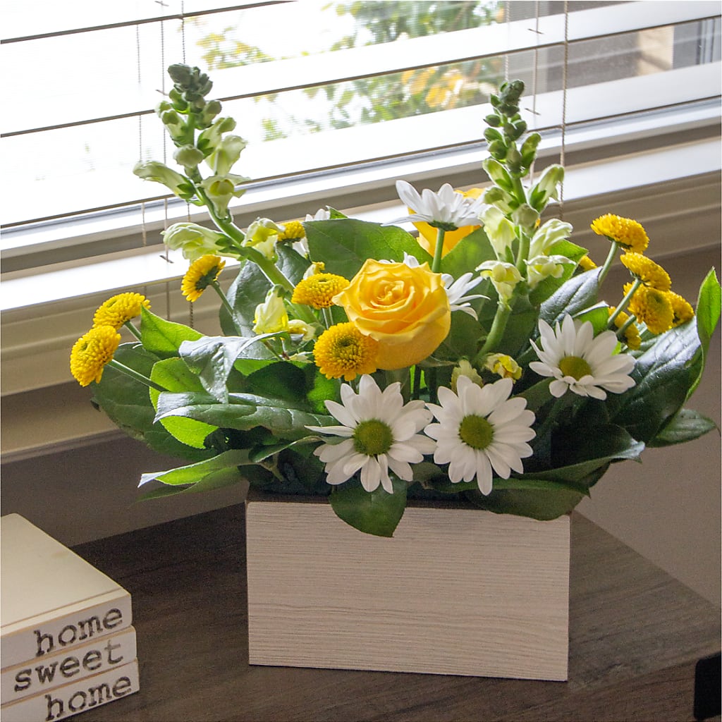 Sun Salutation Box Bouquet –  Elises Flowers, Montgomery Village MD