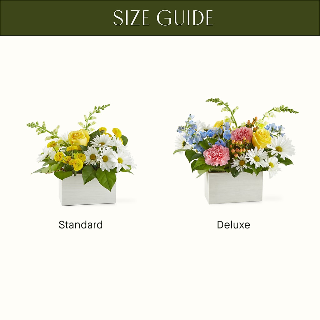 Sun Salutation Box Bouquet –  Elises Flowers, Montgomery Village MD