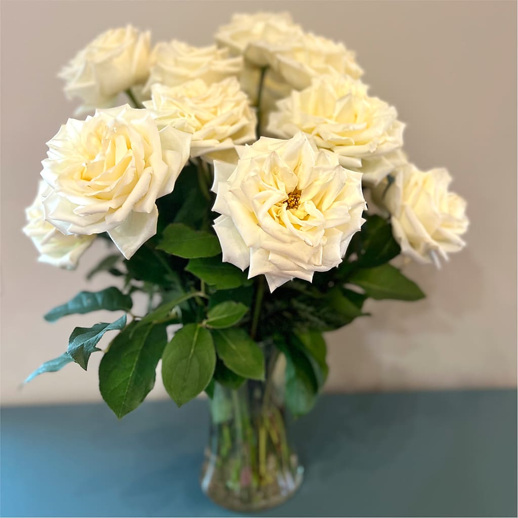 Long Stem Yellow Rose Bouquet –  Elises Flowers, Montgomery Village MD