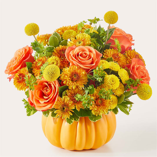 Gourdgeous Pumpkin –  Elises Flowers, Montgomery Village MD