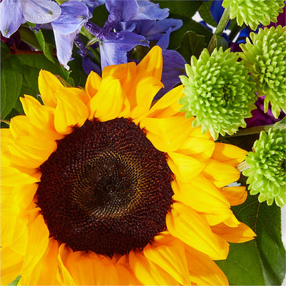 Catching Rays Bouquet –  Elises Flowers, Montgomery Village MD