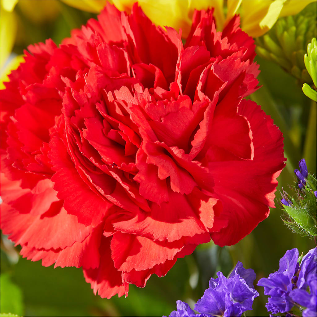 Brighter Days Bouquet –  Elises Flowers, Montgomery Village MD