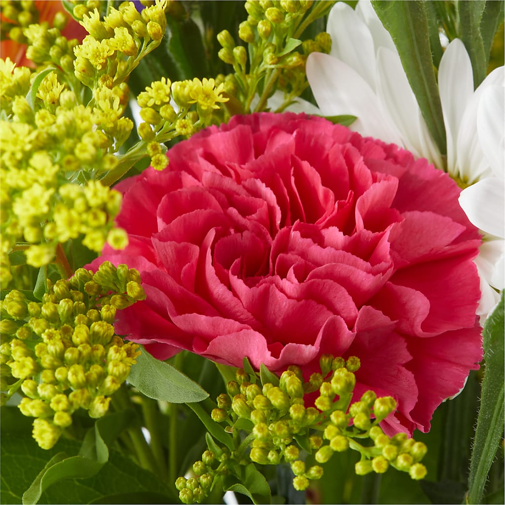 Oopsie Daisy Bouquet –  Elises Flowers, Montgomery Village MD