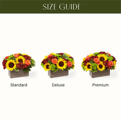 Happy Harvest Garden –  Elises Flowers, Montgomery Village MD