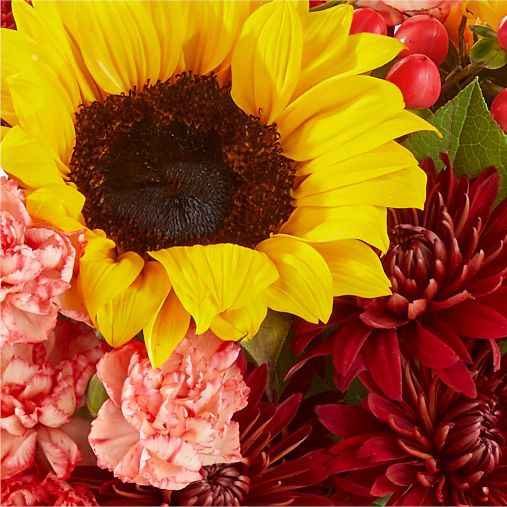 Fresh Cider Bouquet –  Elises Flowers, Montgomery Village MD