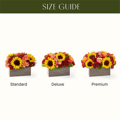Fresh Cider Bouquet –  Elises Flowers, Montgomery Village MD