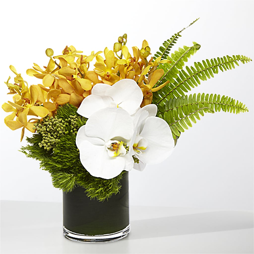 The Tropics –  Elises Flowers, Montgomery Village MD