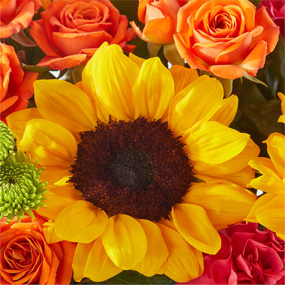 Sun-drenched Blooms Box Bouquet –  Elises Flowers, Montgomery Village MD
