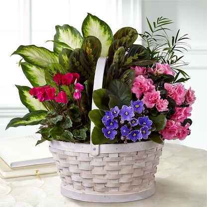 Peaceful Garden Planter –  Elises Flowers, Montgomery Village MD