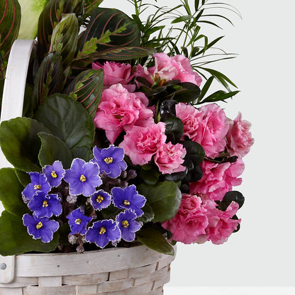 Peaceful Garden Planter –  Elises Flowers, Montgomery Village MD