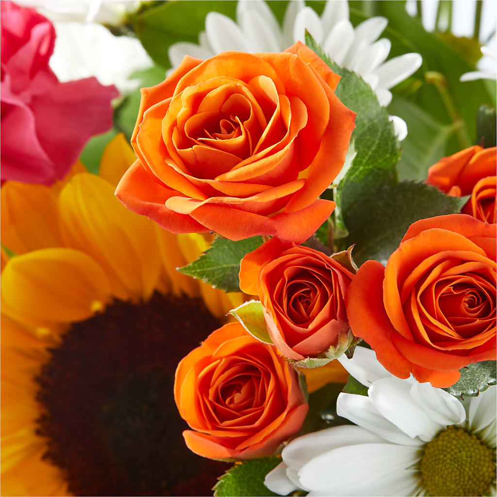 Sun-drenched Blooms Bouquet –  Elises Flowers, Montgomery Village MD