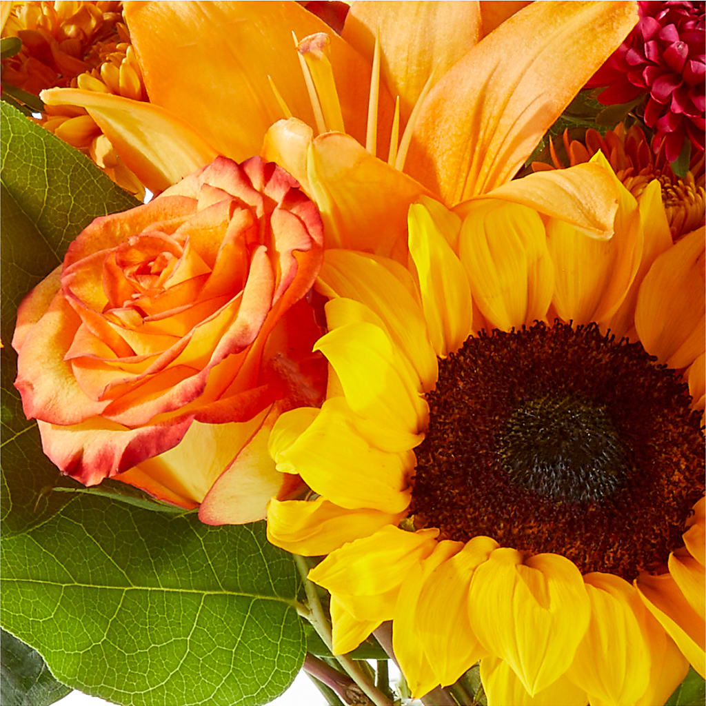 Fall Day Bouquet –  Elises Flowers, Montgomery Village MD