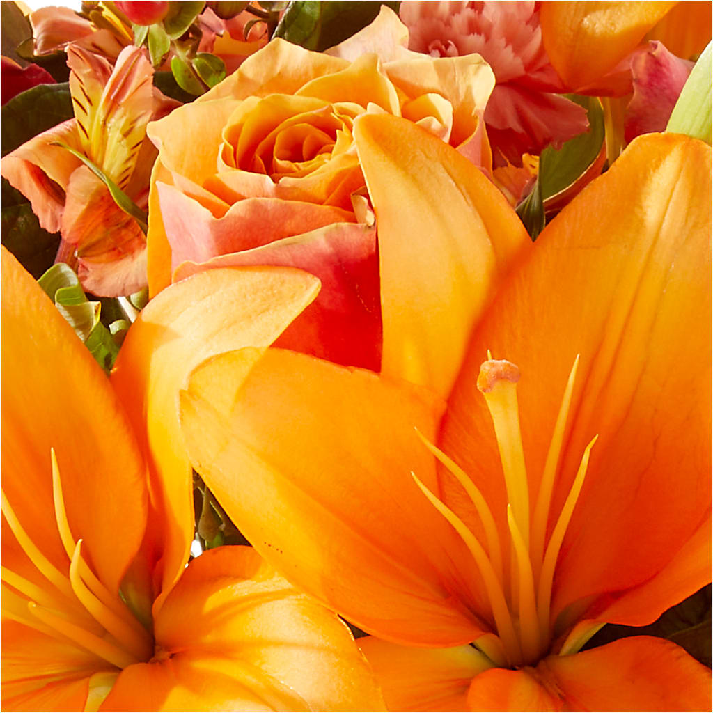 Afternoon Light Bouquet –  Elises Flowers, Montgomery Village MD