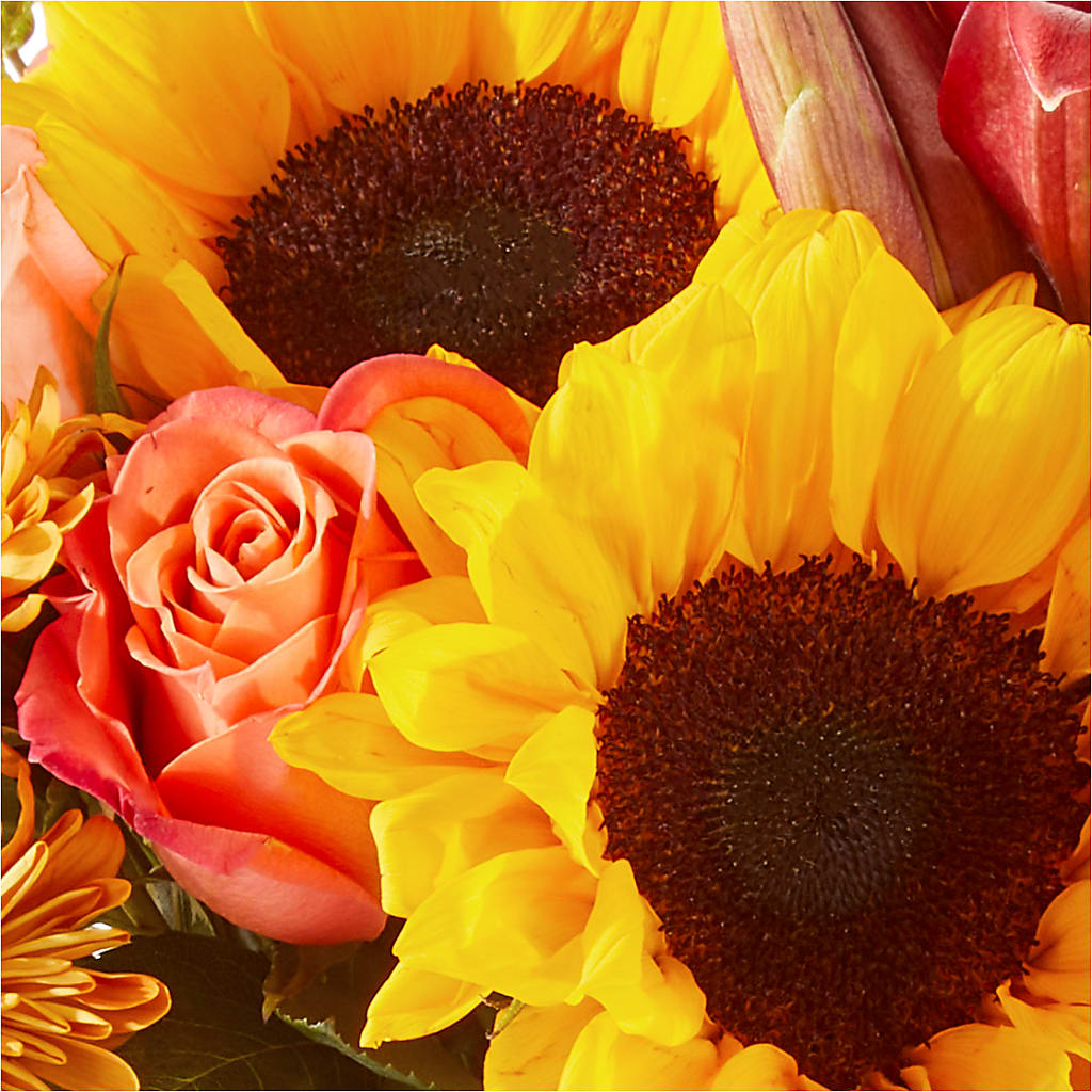 Acorn Lane Bouquet –  Elises Flowers, Montgomery Village MD
