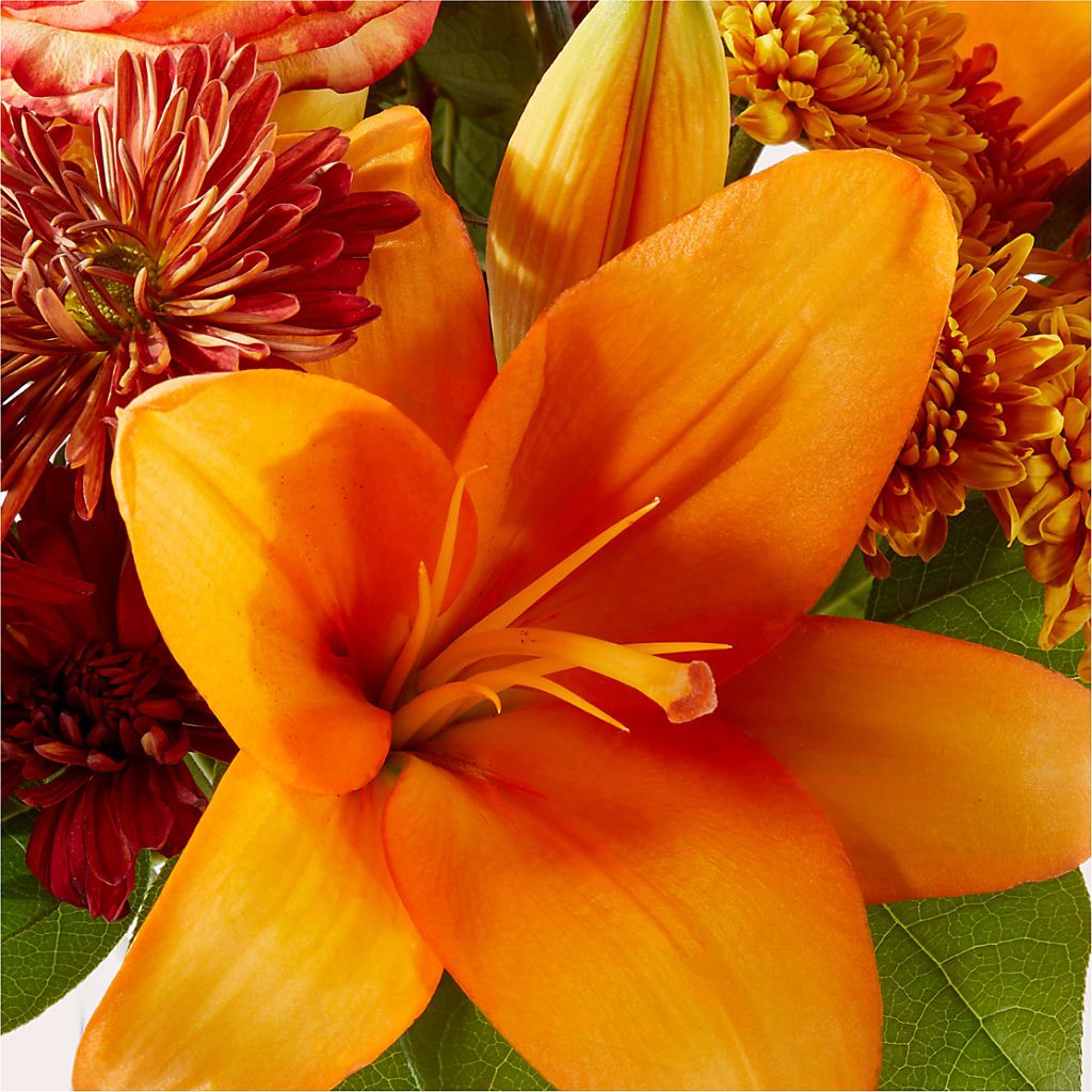 Autumnal Aroma Bouquet –  Elises Flowers, Montgomery Village MD