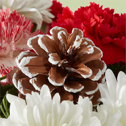 Candy Cane Lane Bouquet –  Elises Flowers, Montgomery Village MD