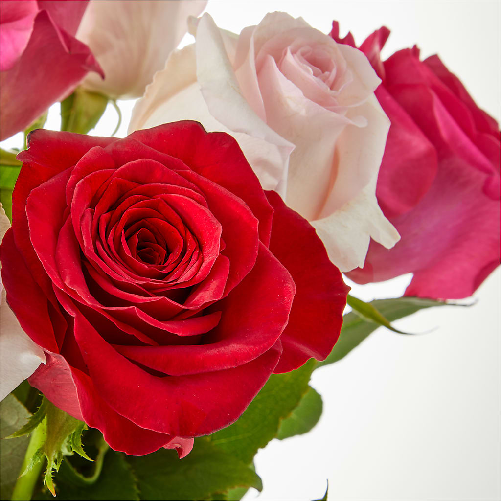 Charming Rose Bouquet –  Elises Flowers, Montgomery Village MD