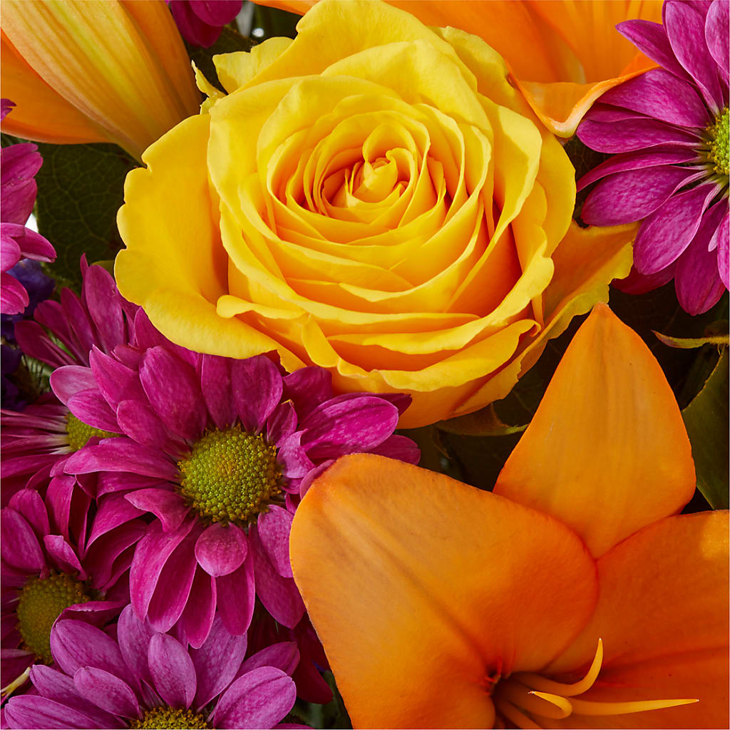 Colorful Visions Bouquet –  Elises Flowers, Montgomery Village MD