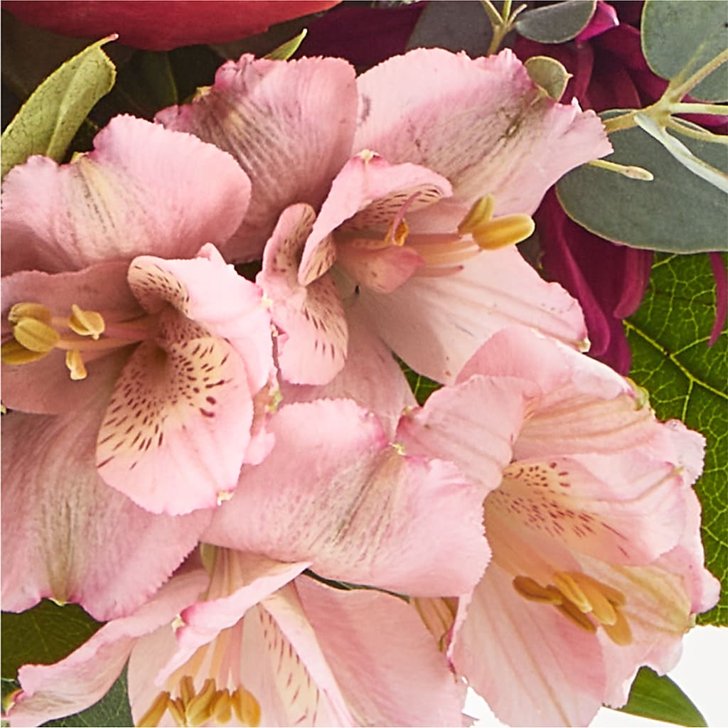 Berry Cobbler Bouquet –  Elises Flowers, Montgomery Village MD