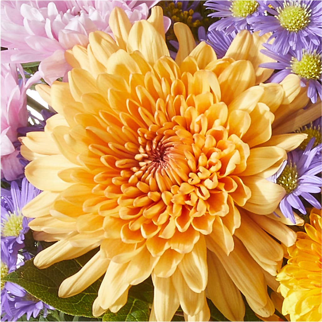 Countryside Bouquet –  Elises Flowers, Montgomery Village MD