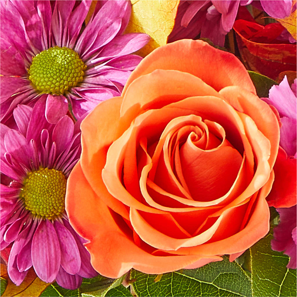 Mum's the Word Bouquet –  Elises Flowers, Montgomery Village MD