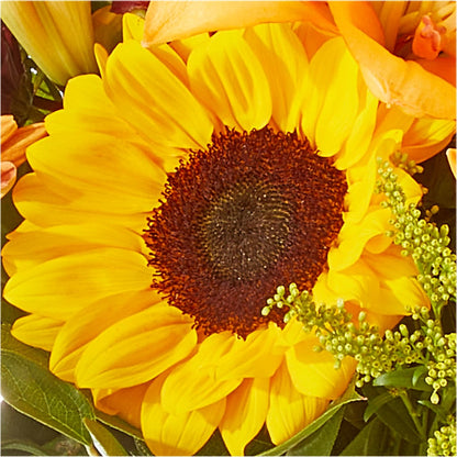 Seasons Change Bouquet –  Elises Flowers, Montgomery Village MD