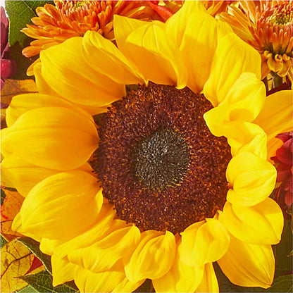 Sunny Side Bouquet –  Elises Flowers, Montgomery Village MD