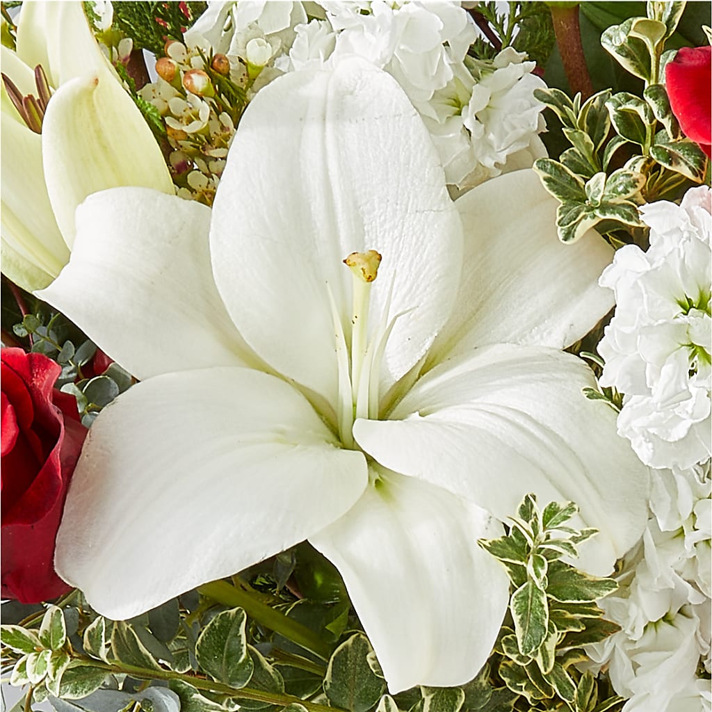 Twinkle Lights Bouquet –  Elises Flowers, Montgomery Village MD