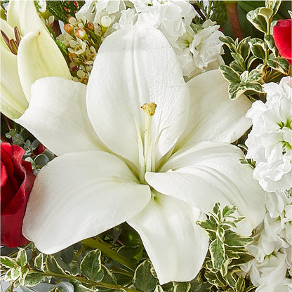 Twinkle Lights Bouquet –  Elises Flowers, Montgomery Village MD