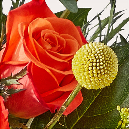 Disco Bouquet –  Elises Flowers, Montgomery Village MD