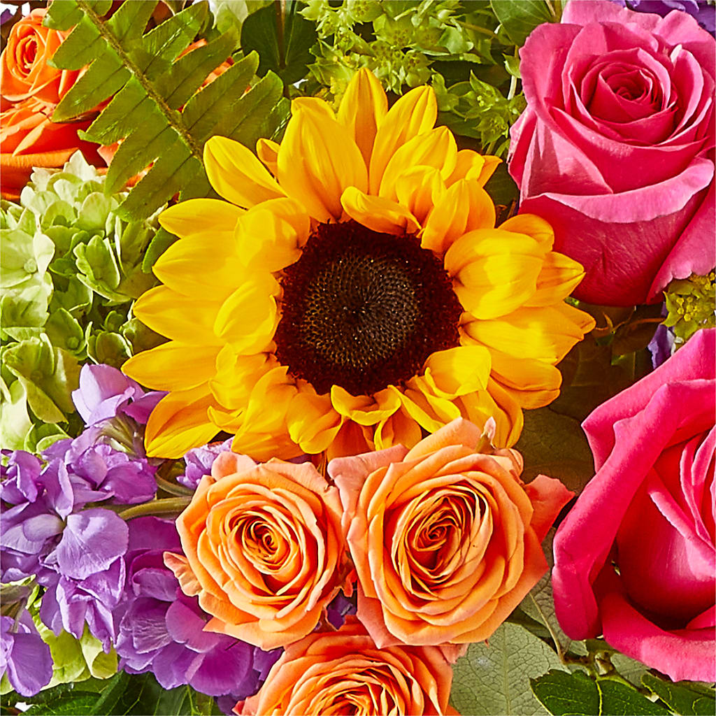 Vibrant Greetings Bouquet –  Elises Flowers, Montgomery Village MD