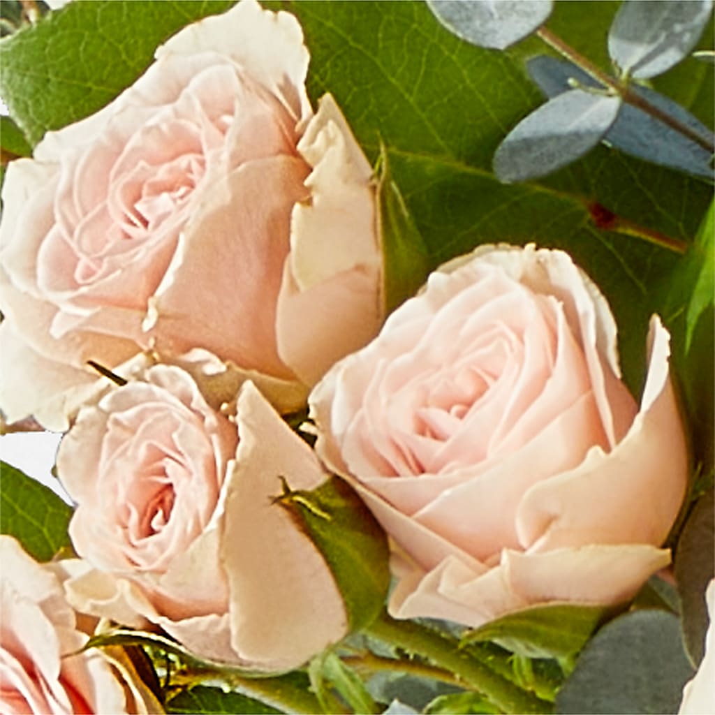 Inspired Bouquet –  Elises Flowers, Montgomery Village MD