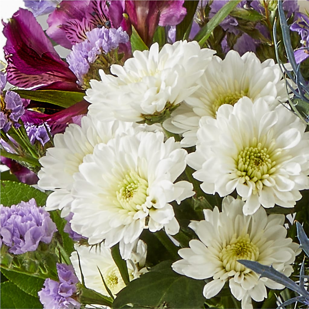 Shooting Star Bouquet –  Elises Flowers, Montgomery Village MD