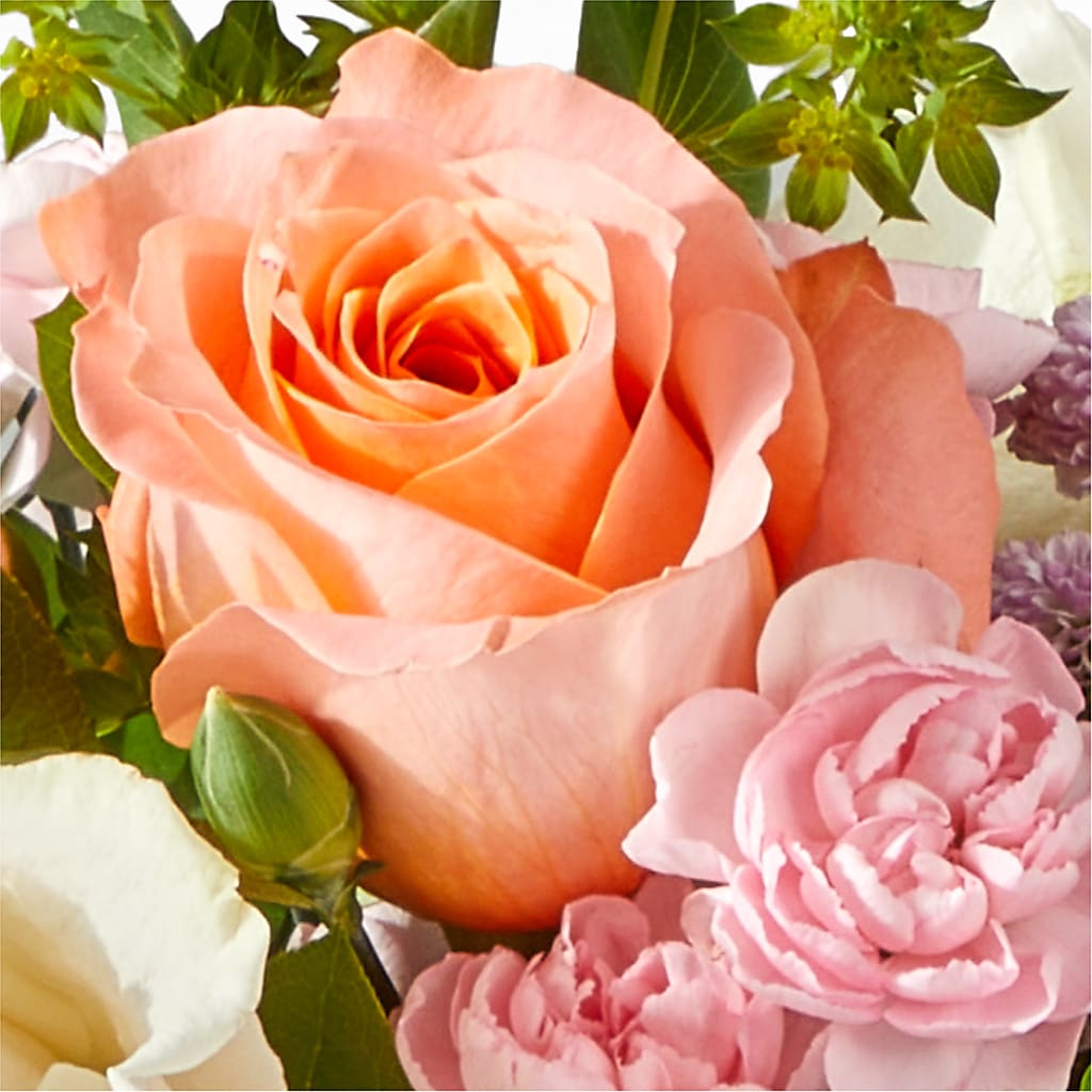 French Market Bouquet –  Elises Flowers, Montgomery Village MD