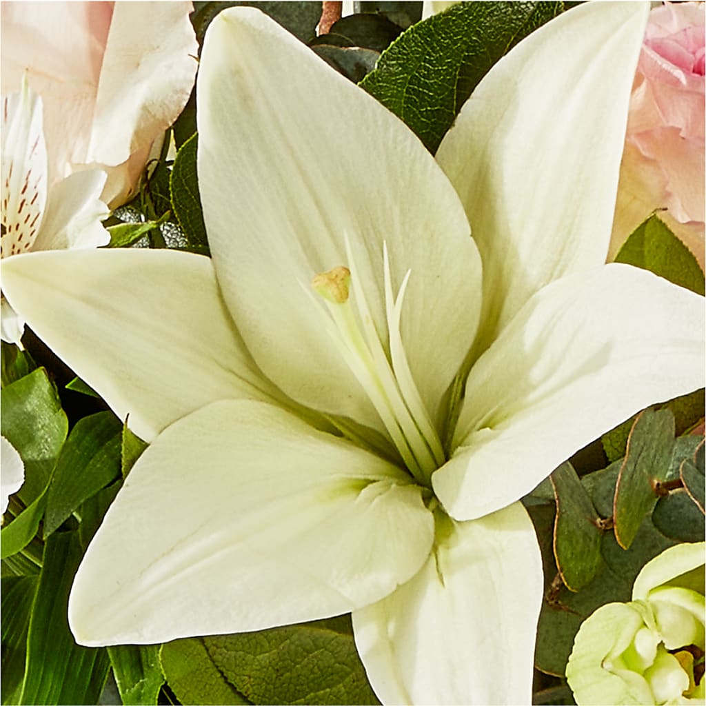 Ballet Slippers Bouquet –  Elises Flowers, Montgomery Village MD
