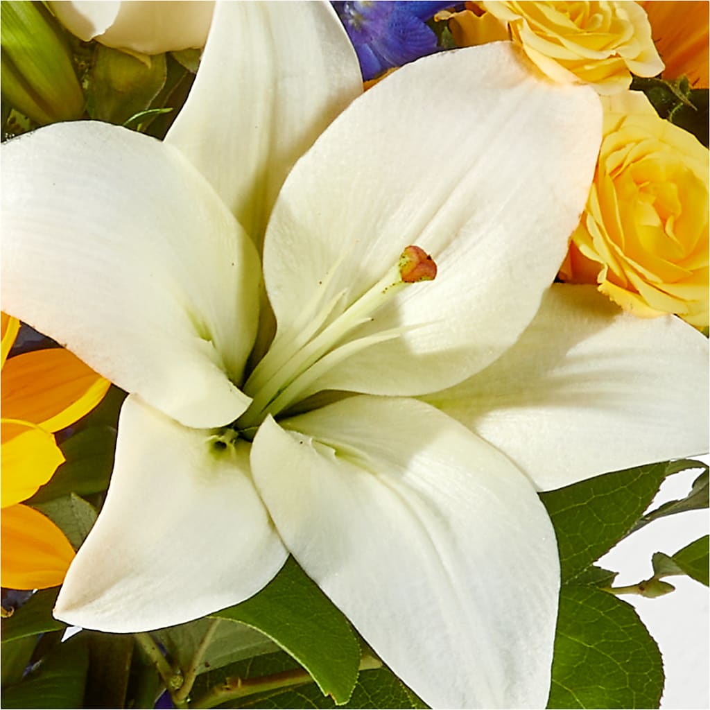 Wonderfully Sunny Bouquet –  Elises Flowers, Montgomery Village MD