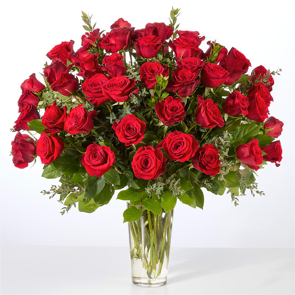Forever Yours Fifty Stem Red Rose Bouquet –  Elises Flowers, Montgomery Village MD