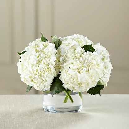 White Hydrangea Bouquet –  Elises Flowers, Montgomery Village MD